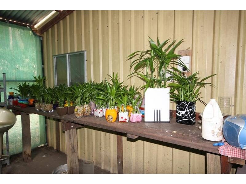Landsborough QLD 4550