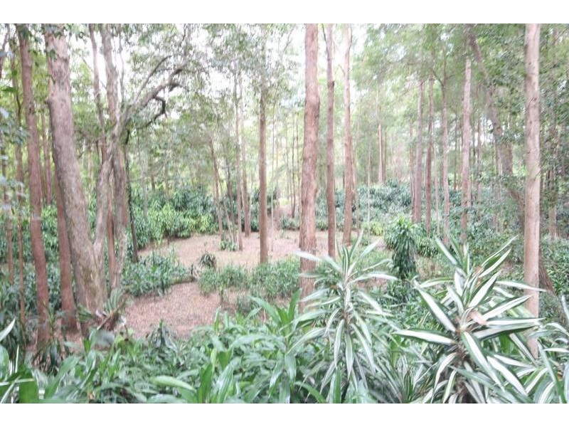 Landsborough QLD 4550