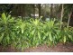 Landsborough QLD 4550