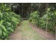 Landsborough QLD 4550