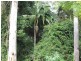 Beerwah QLD 4519