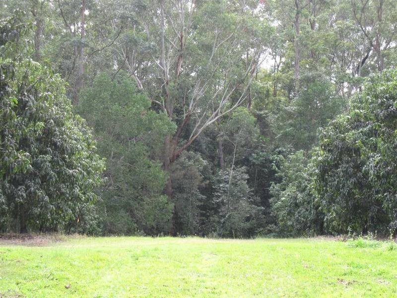 Beerwah QLD 4519