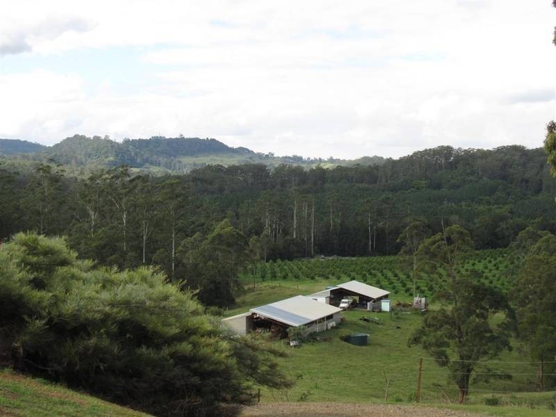 Peachester QLD 4519