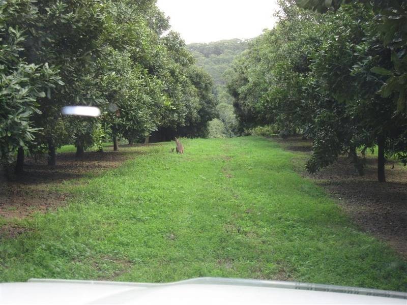 Peachester QLD 4519