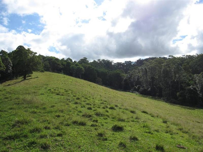 Peachester QLD 4519