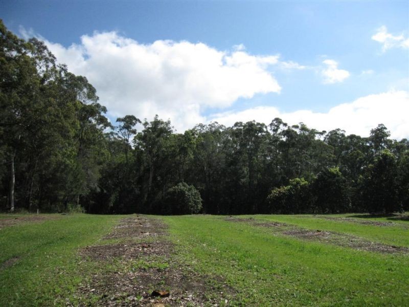 Beerwah QLD 4519