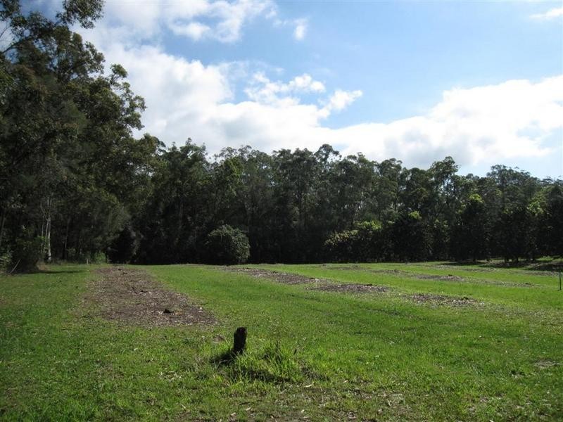 Beerwah QLD 4519