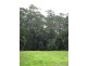 Beerwah QLD 4519
