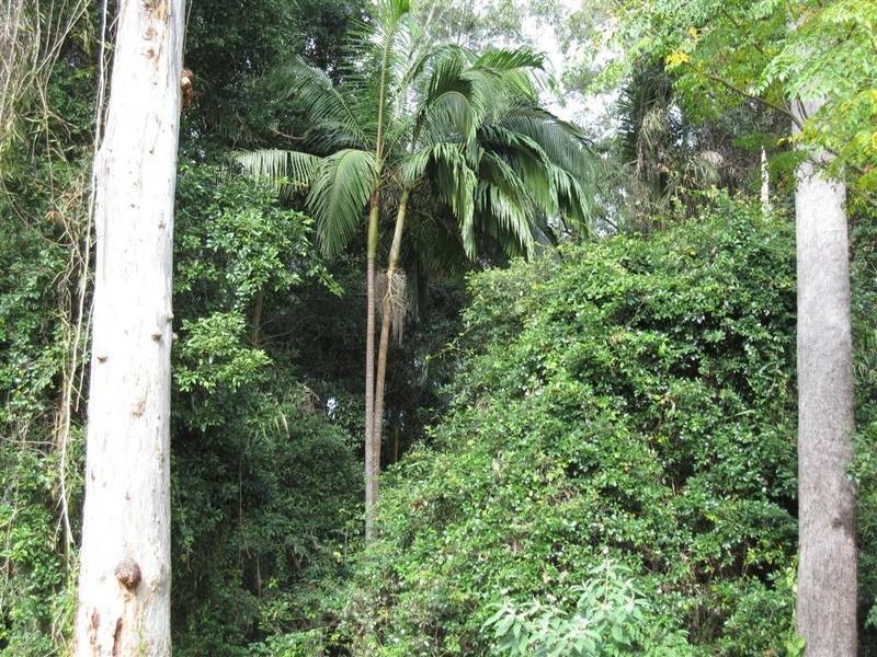 Beerwah QLD 4519