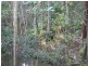 Beerwah QLD 4519