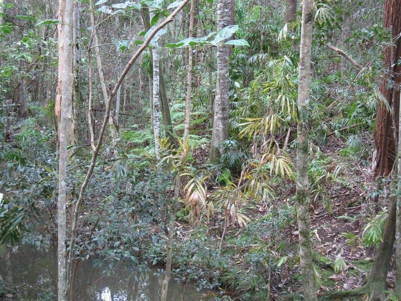 Beerwah QLD 4519