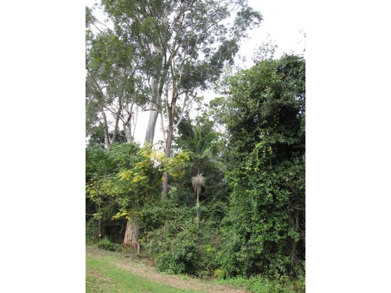 Beerwah QLD 4519