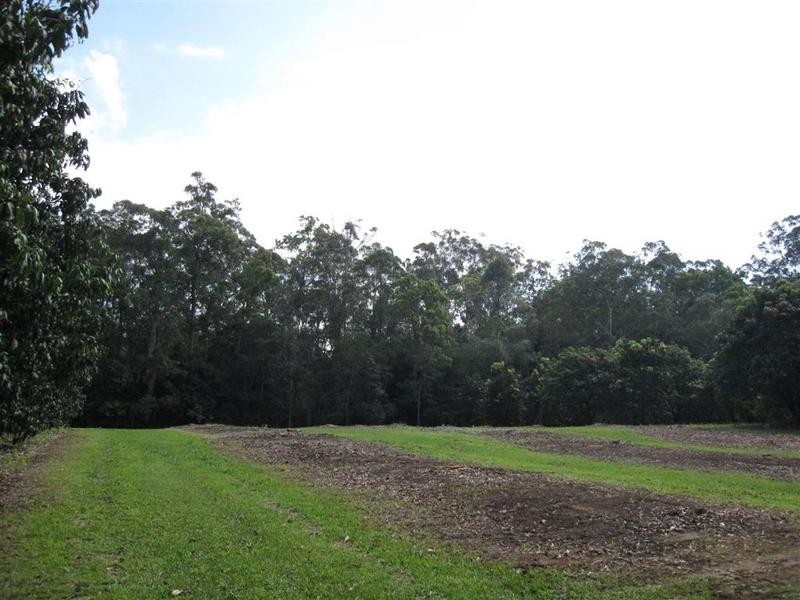 Lot 4, 197 Lindeman Road, Beerwah QLD 4519