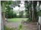 Glass House Mountains QLD 4518