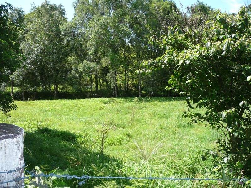 Peachester QLD 4519