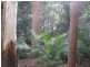 Beerwah QLD 4519