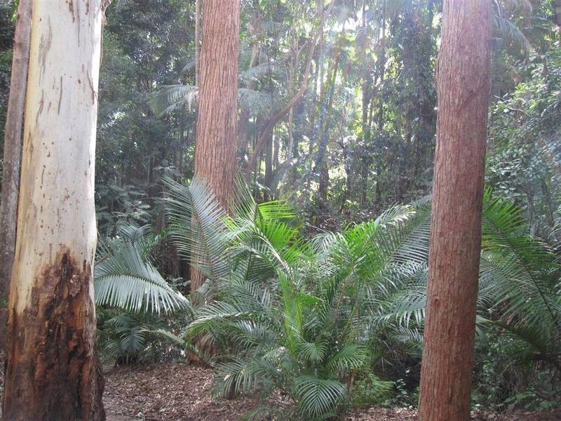Beerwah QLD 4519