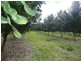 Peachester QLD 4519