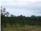 Peachester QLD 4519
