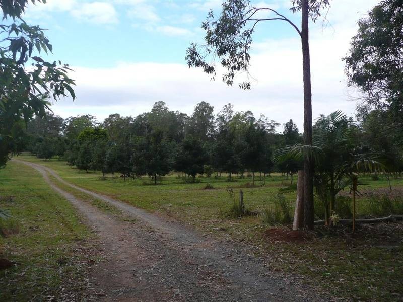 Peachester QLD 4519