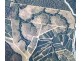Peachester QLD 4519