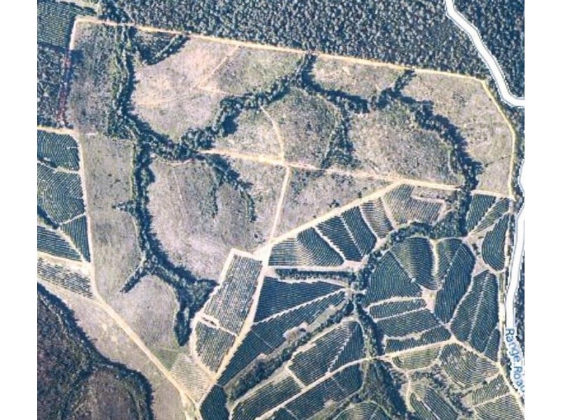 Peachester QLD 4519