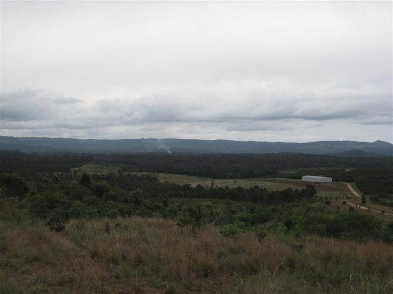 Peachester QLD 4519