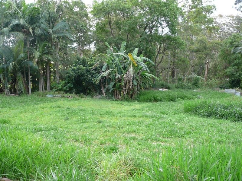 48 Strawberry Road, Beerwah QLD 4519