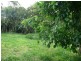 48 Strawberry Road, Beerwah QLD 4519