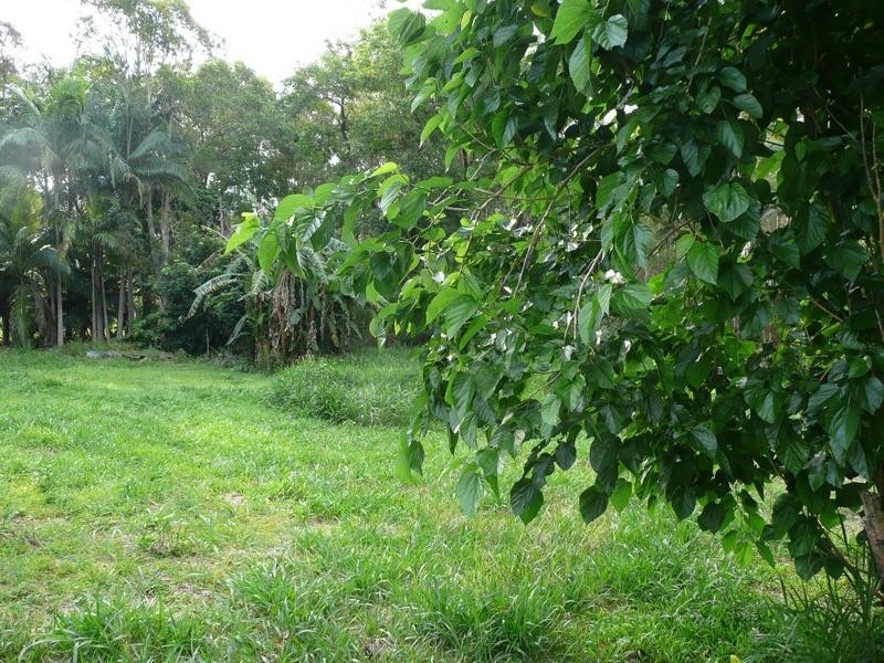 48 Strawberry Road, Beerwah QLD 4519