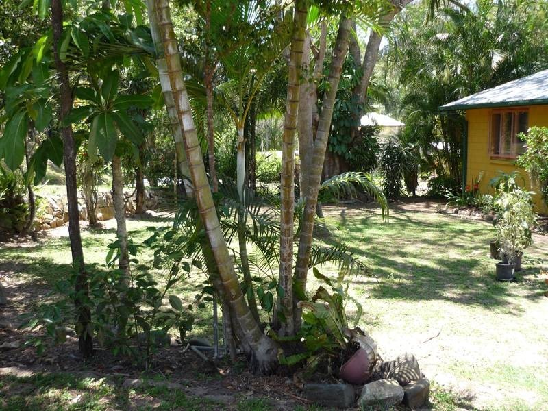 Glass House Mountains QLD 4518