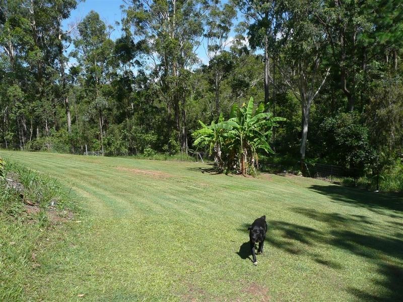 Glass House Mountains QLD 4518
