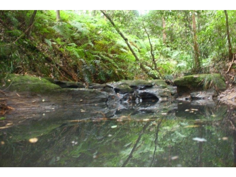 3071 Old Gympie Road, Beerwah QLD 4519