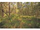 11 Piat Place, Beerwah QLD 4519