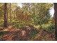 11 Piat Place, Beerwah QLD 4519