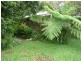 Beerwah QLD 4519