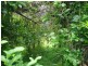 Beerwah QLD 4519
