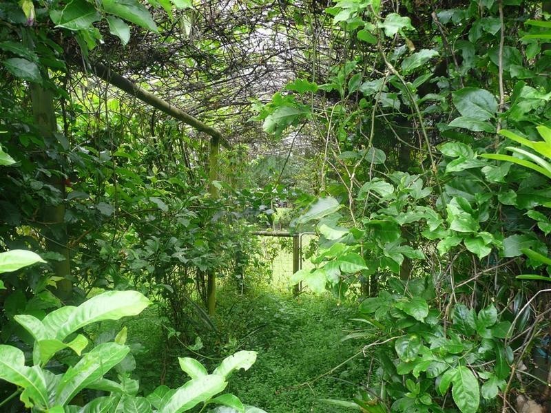 Beerwah QLD 4519