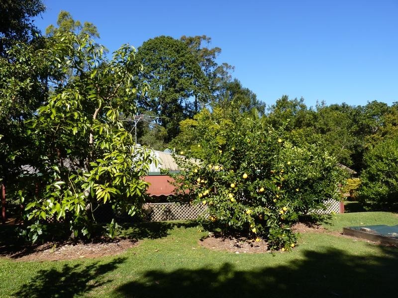 63 Alfs Pinch Road, Beerwah QLD 4519