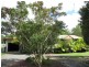 Beerwah QLD 4519