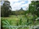 Glass House Mountains QLD 4518