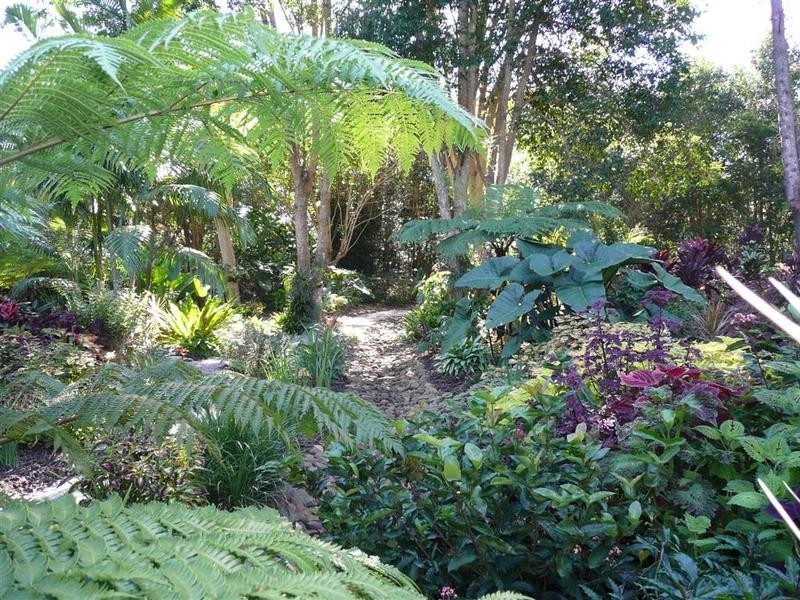 331 Peachester Road, Beerwah QLD 4519