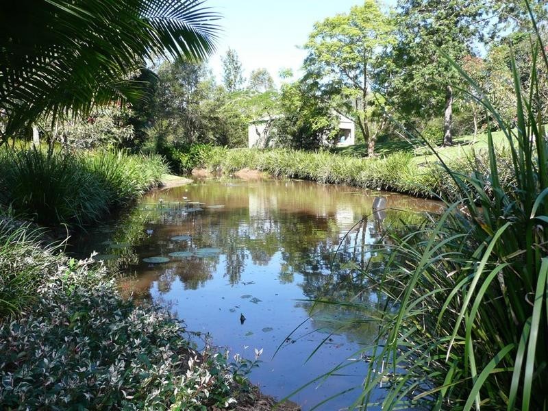 331 Peachester Road, Beerwah QLD 4519