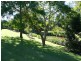 331 Peachester Road, Beerwah QLD 4519