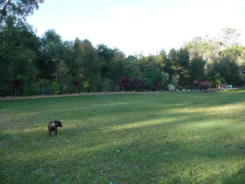 47 Smerdon Way, Glass House Mountains QLD 4518