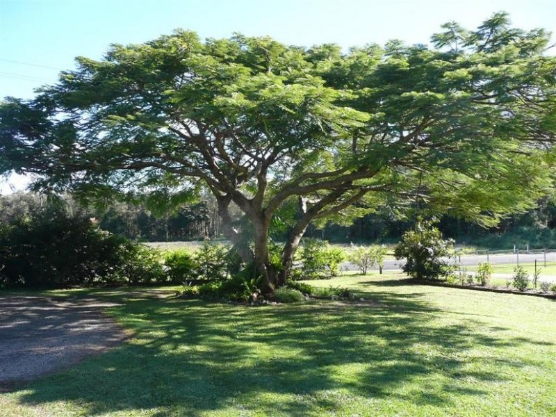 Glass House Mountains QLD 4518