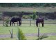2 Sunbury Place, Peachester QLD 4519