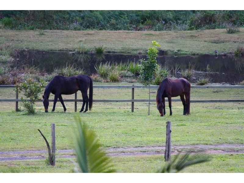 2 Sunbury Place, Peachester QLD 4519