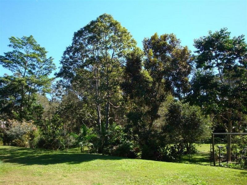 Beerwah QLD 4519