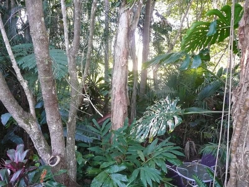 31 Lindeman Road, Beerwah QLD 4519